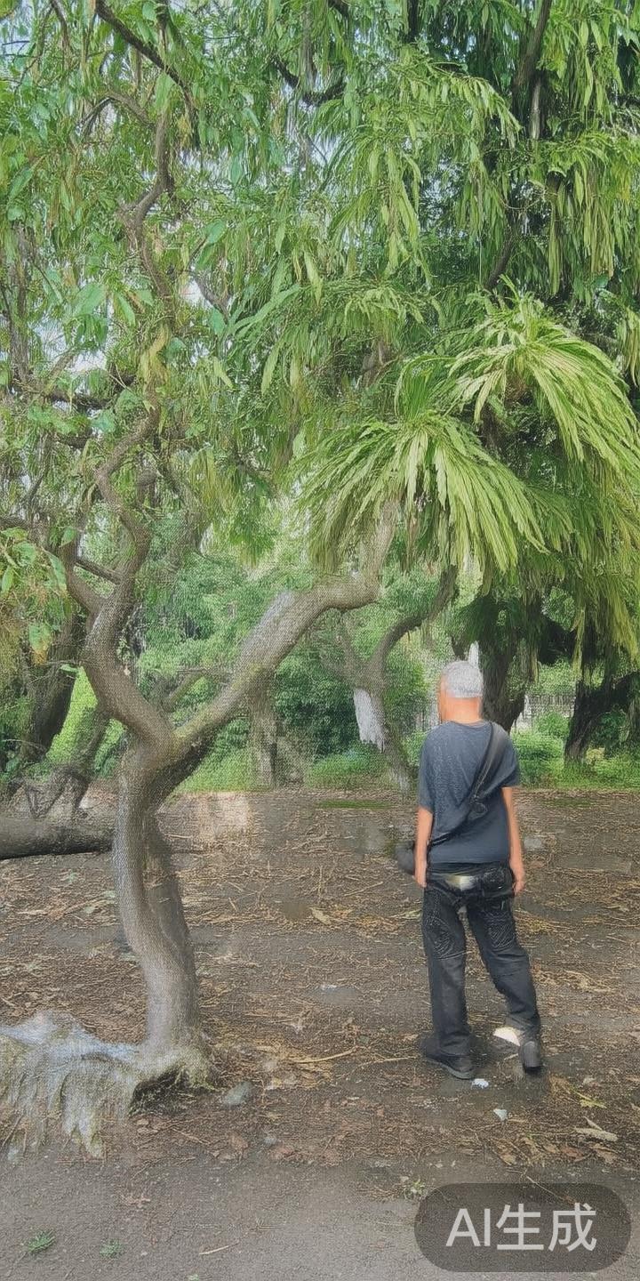 作为一款专为体育迷打造的移动平台，完美体育手机平台